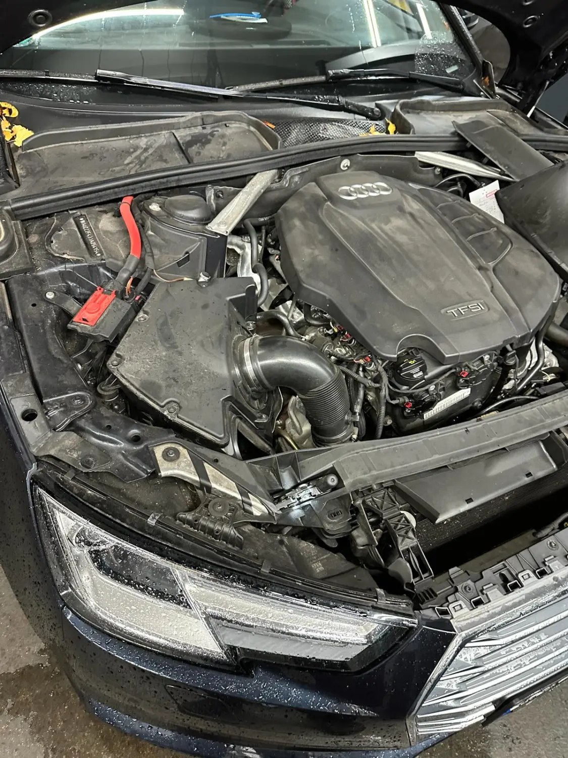 Autoreparatur AUTO?LOUIS